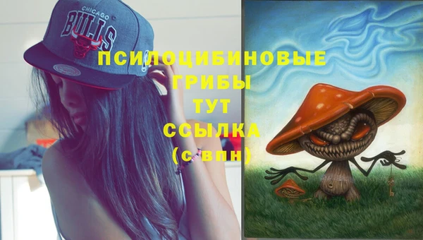 молекула духа Верхнеуральск