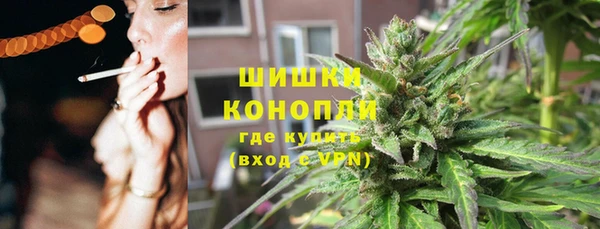 ГАЛЛЮЦИНОГЕННЫЕ ГРИБЫ Верхний Тагил