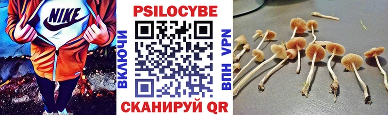 Псилоцибиновые грибы GOLDEN TEACHER omg Верхняя Салда где купить наркоту